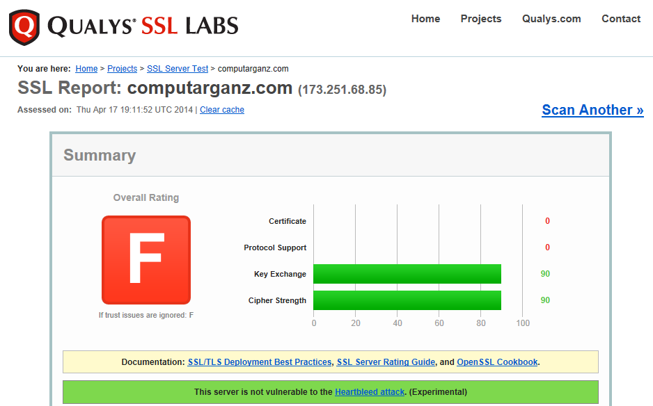 Heartbleed_report_-_Ganz