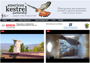 Peregrine_Fund_Website_Image