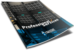 Professional Services brochure cover-2